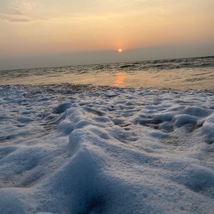 Meet your Posher, Madeline